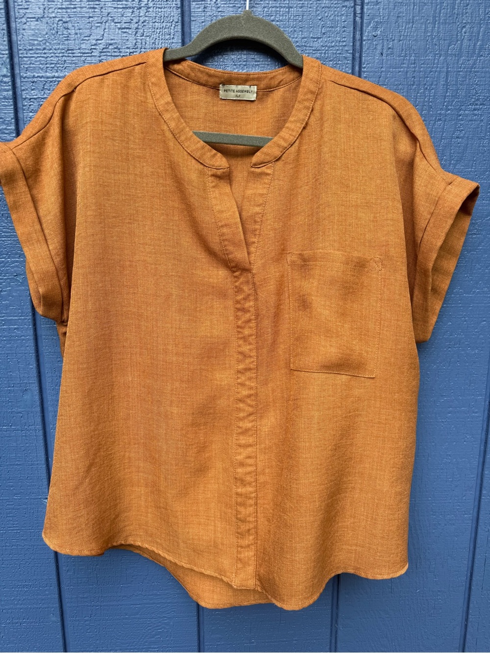 Relaxed V-Neck Short Sleeve Blouse in Rust